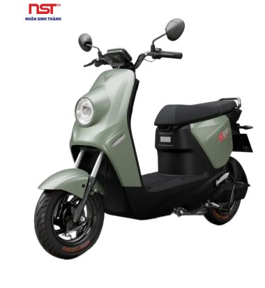 VinFast Zgo tại Nhân Sinh Thành